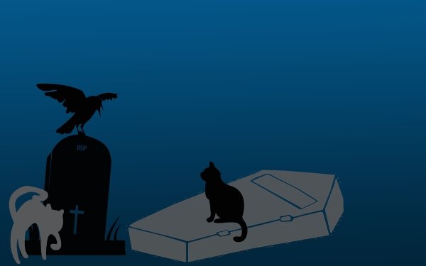 Holiday Halloween Grave Cat Raven HD Wallpaper | Background Image