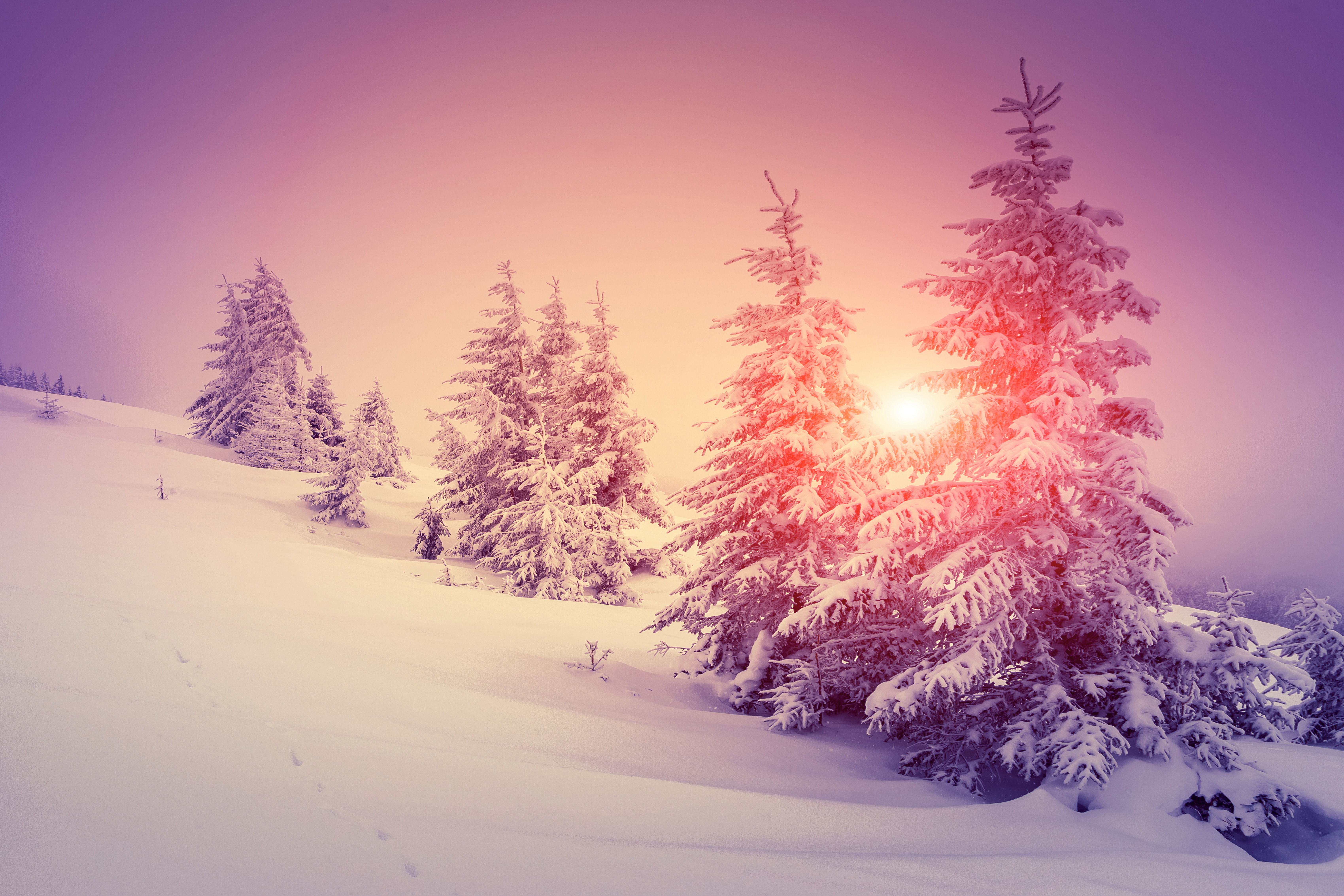 Winter sun (for Adele :-)) photo & image | landscape, gardens & parks, snow  images at photo community