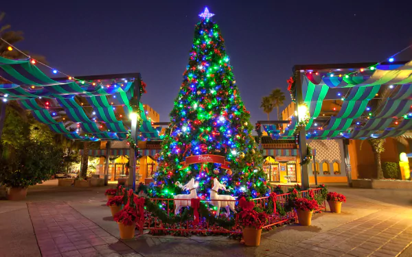 HD PC desktop wallpaper of a festive town square at night, featuring a brightly lit Christmas tree surrounded by holiday lights and decorations.