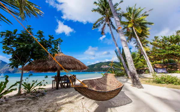 palm tree sand beach hammock photography holiday HD Desktop Wallpaper | Background Image