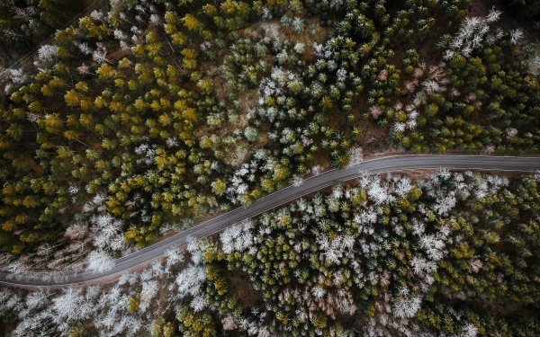 Man Made Road Nature Tree Aerial HD Wallpaper | Background Image