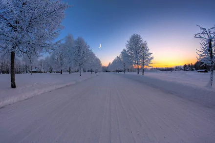 A serene winter road lined with frosted trees under a crescent moon at dusk, captured in a high-definition photography wallpaper.
