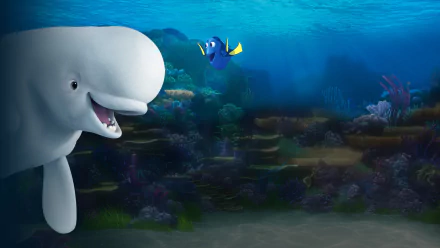 Bailey (Finding Dory) Dory (Finding Nemo) movie Finding Dory HD Desktop Wallpaper | Background Image