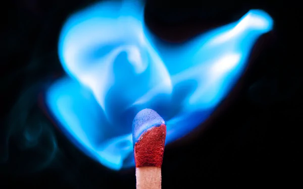 flame close-up photography match HD Desktop Wallpaper | Background Image