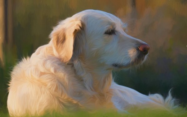 Animal Labrador Retriever Dogs Dog Lying Down Portrait Oil Painting Painting HD Wallpaper | Background Image