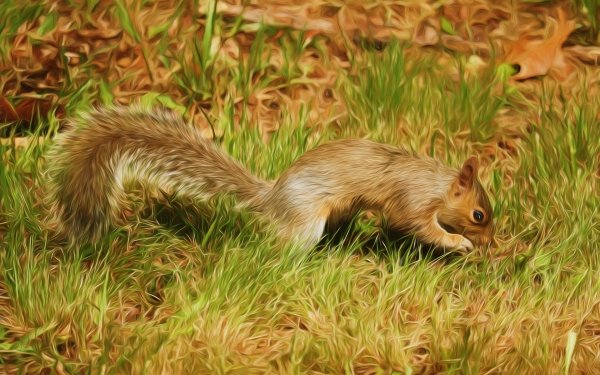Animal Squirrel Oil Painting Painting Grass HD Wallpaper | Background Image