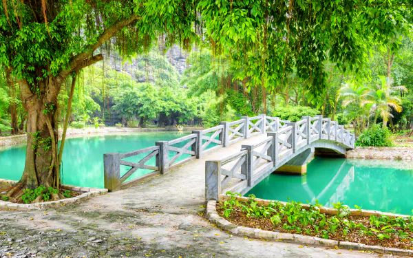 A serene tropical park in Vietnam features a man-made white bridge arching over vibrant green water, surrounded by lush trees in this 4K Ultra HD desktop wallpaper.