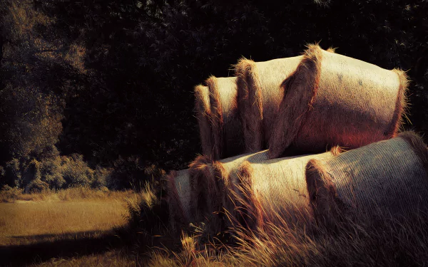 nature haystack HD Desktop Wallpaper | Background Image