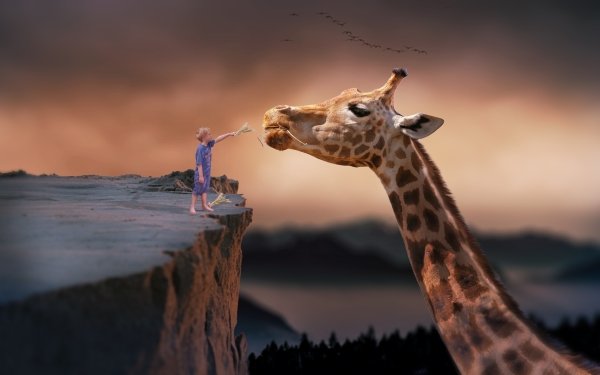 Photography Manipulation Child Giraffe HD Wallpaper | Background Image