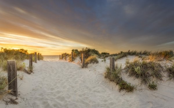 Nature Beach Sand Path Horizon HD Wallpaper | Background Image