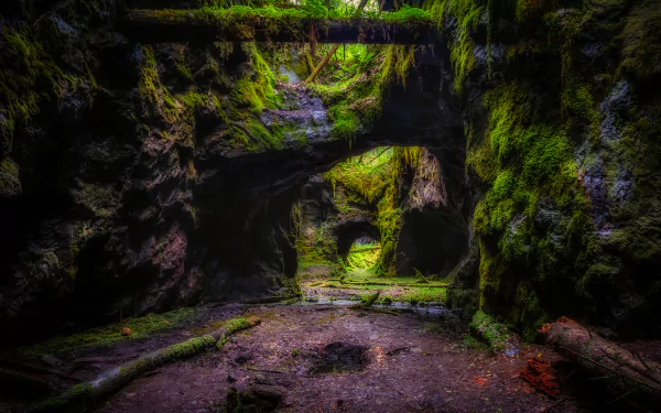 A vibrant moss-covered natural arch in a lush forest setting, captured in stunning 4K Ultra HD quality for PC desktop wallpaper and background.