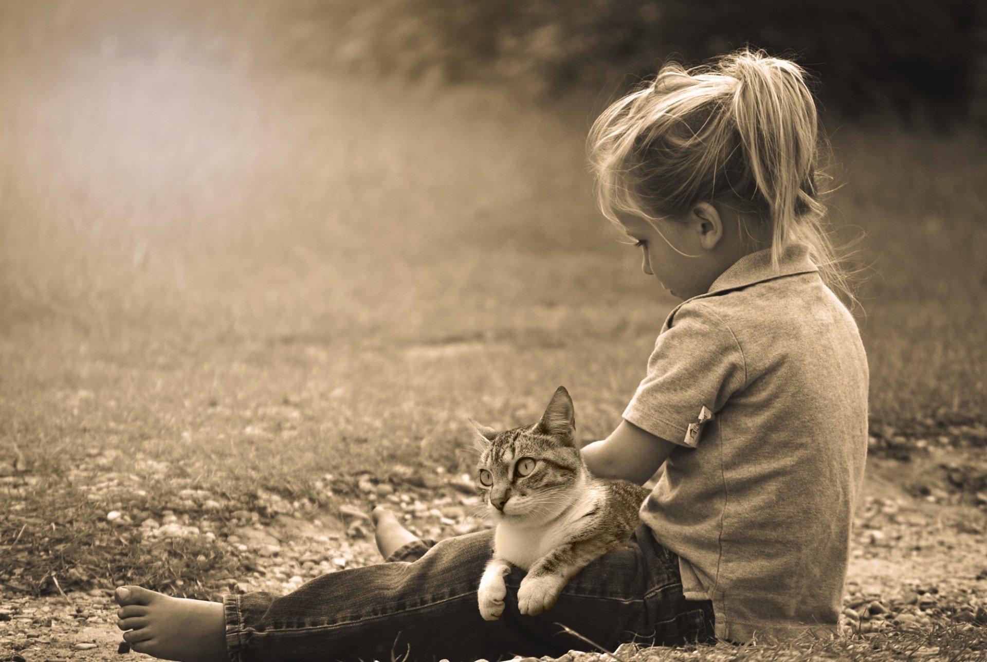 A sepia-toned image of a little girl sitting outdoors with a cat in her lap, capturing a tender moment of companionship. This HD wallpaper adds warmth and charm to any desktop background.