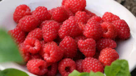 Raspberries