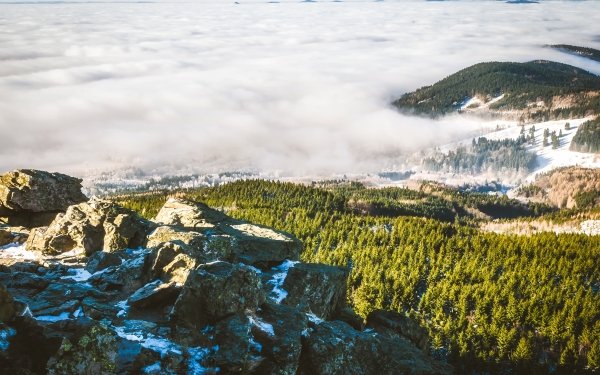 Earth Landscape Nature Horizon Cloud Forest HD Wallpaper | Background Image