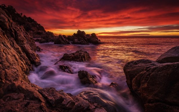 Earth Sunset Coast Ocean Sea Sky Horizon HD Wallpaper | Background Image