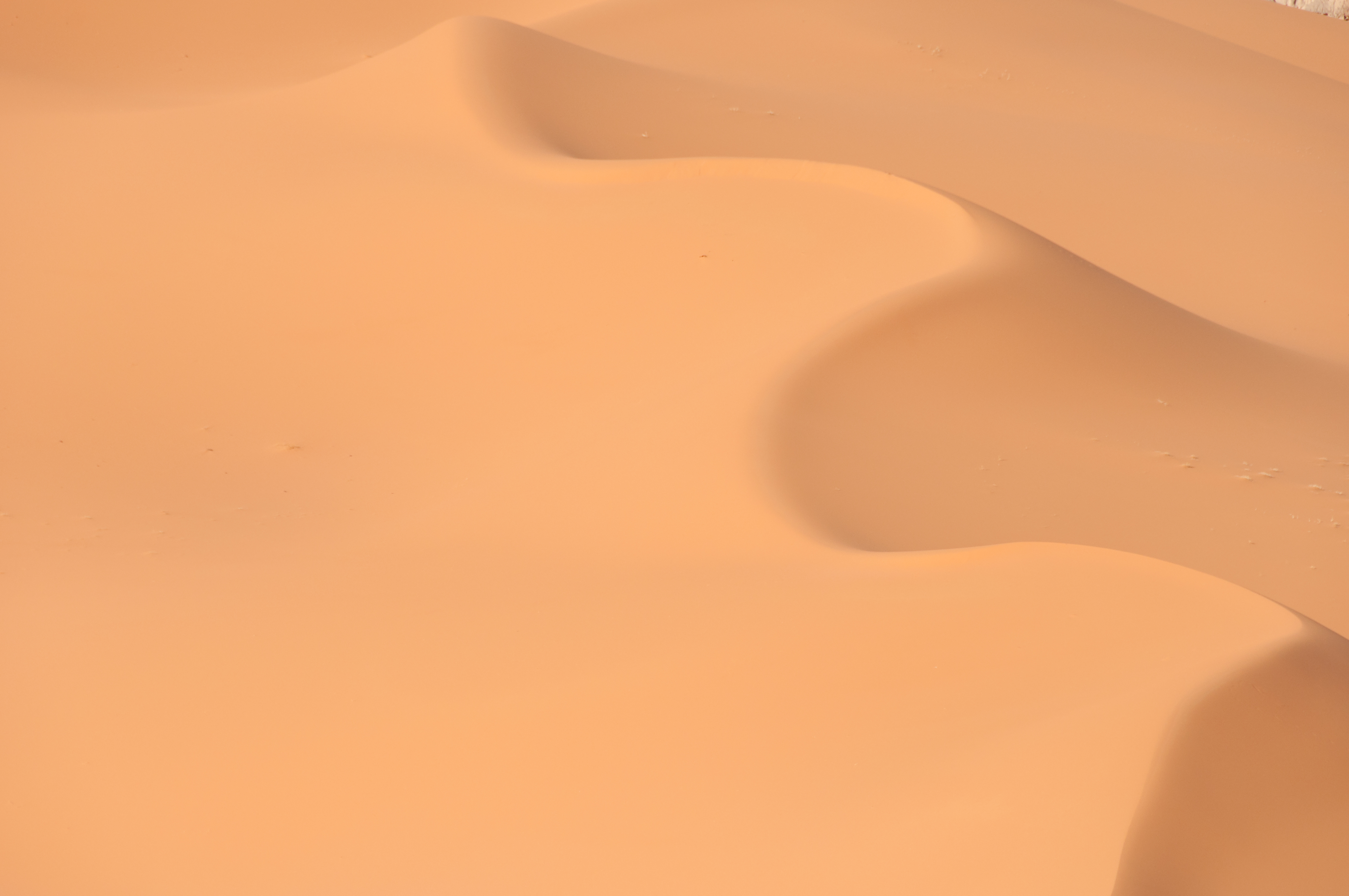 Nature Desert HD Wallpaper | Background Image