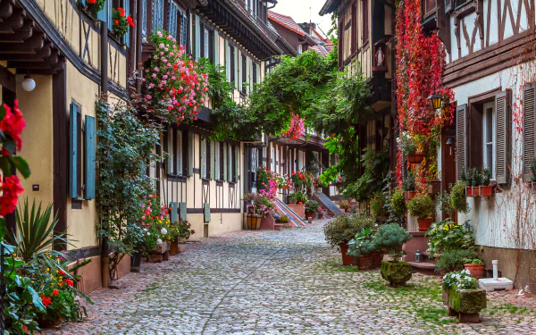Charming cobblestone street lined with colorful flower-adorned houses in Germany. Potted plants and ivy add greenery, creating a picturesque and cozy scene.