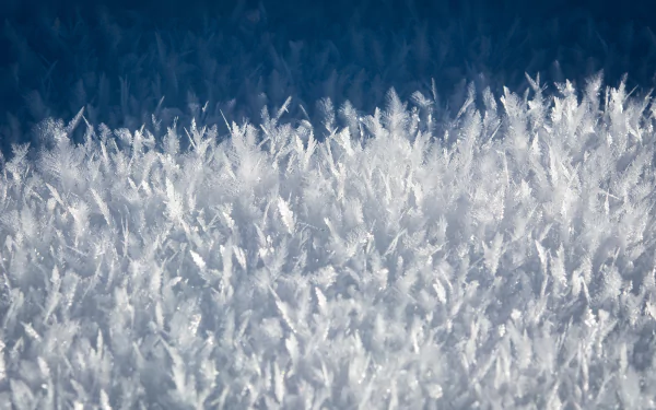  Ice crystals