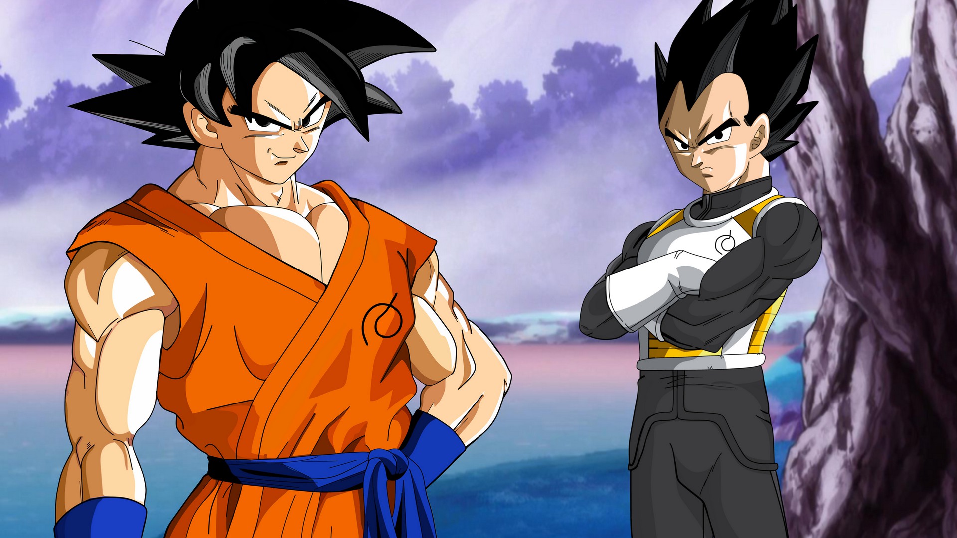 Goku and Vegeta Papel de Parede HD | Plano de Fundo ...