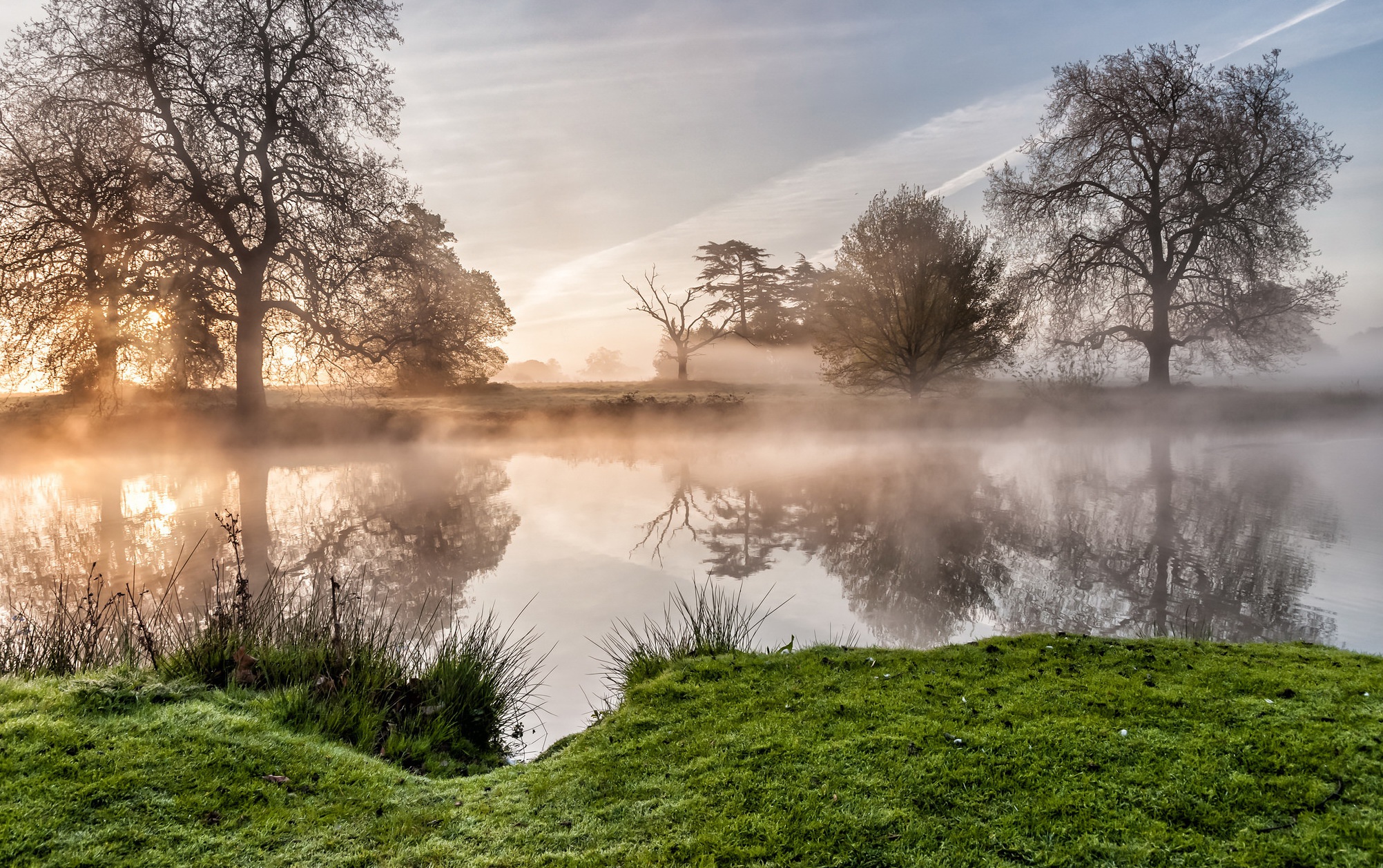 Download Fog Reflection Tree Nature Lake HD Wallpaper