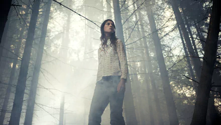 movie Antichrist HD Desktop Wallpaper | Background Image