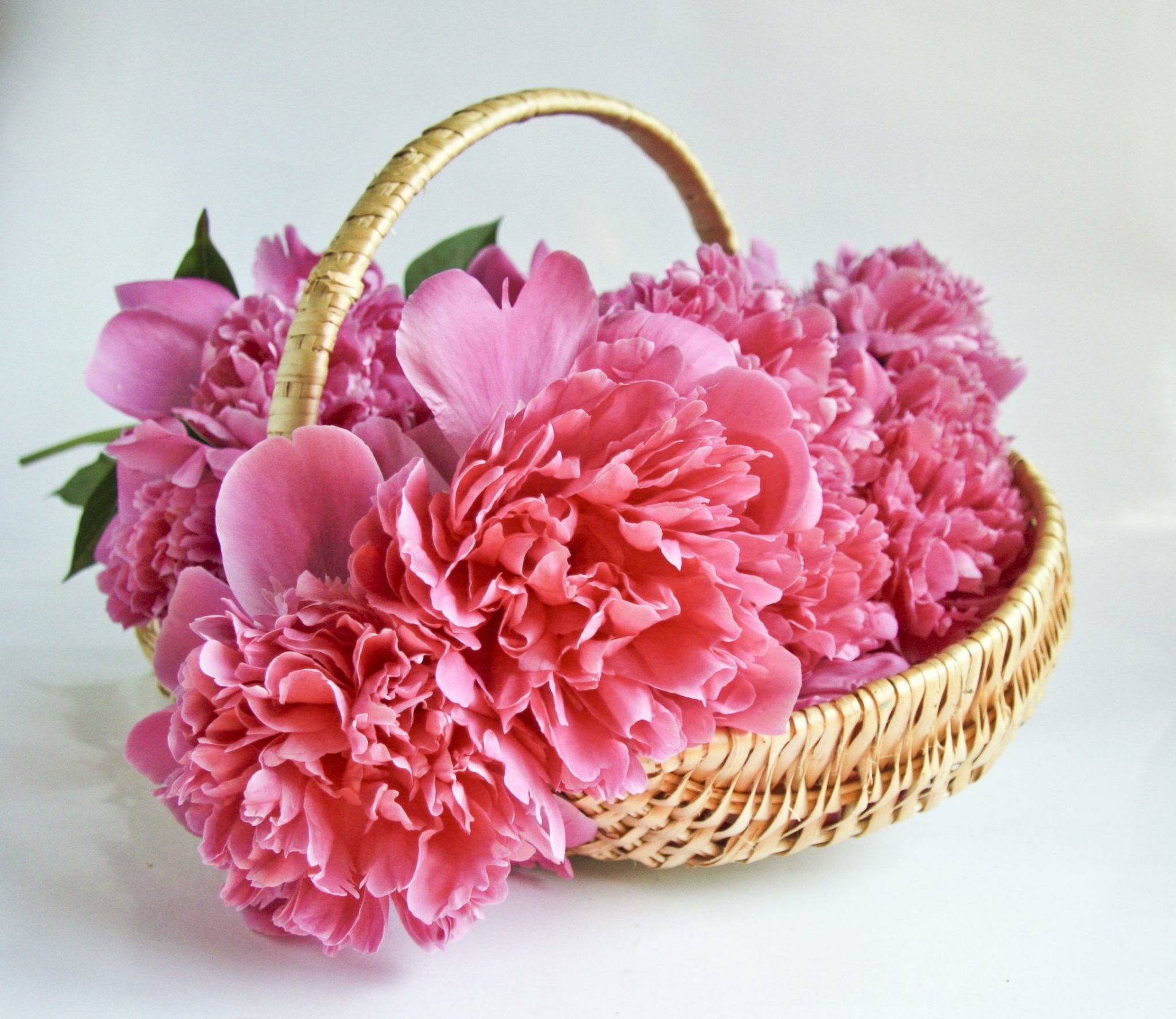 Basket of Flowers