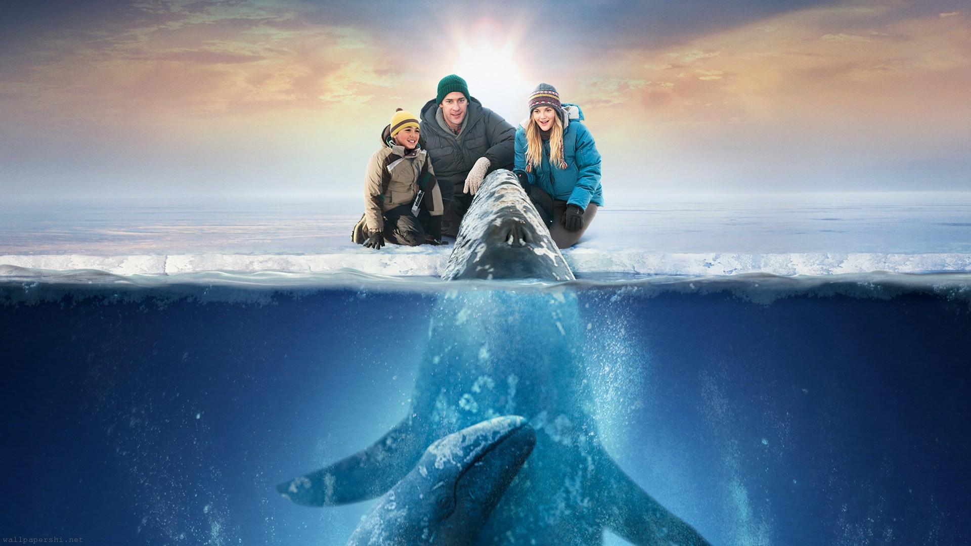 Movie Big Miracle HD Wallpaper | Background Image