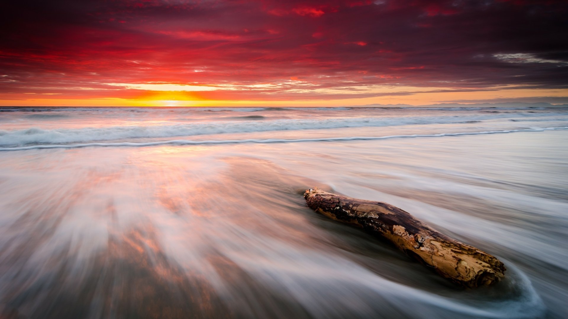 Download Horizon Driftwood Branch Sea Ocean Orange (Color) Sky Nature Sunset HD Wallpaper
