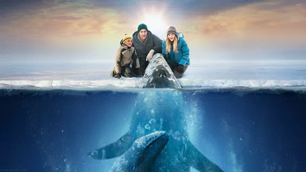 movie Big Miracle HD Desktop Wallpaper | Background Image