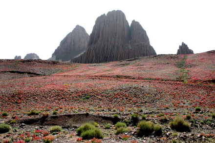 Rock formations rise dramatically over a vibrant desert landscape in the Sahara, Algeria's Tassili N'Ajjer region within the Hoggar Mountains, showcasing striking natural beauty.