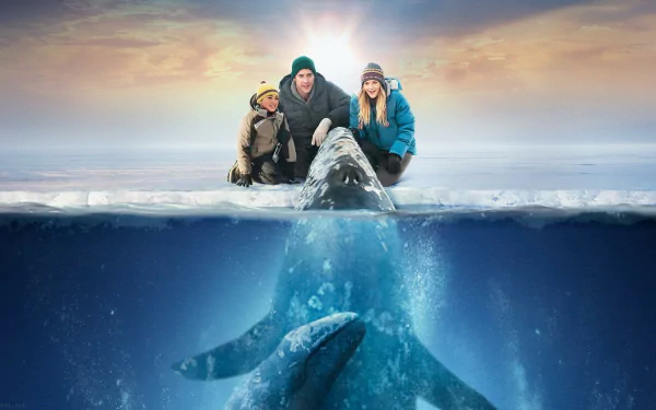 movie Big Miracle HD Desktop Wallpaper | Background Image
