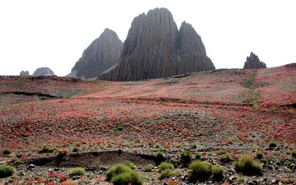 Rock formations rise dramatically over a vibrant desert landscape in the Sahara, Algeria's Tassili N'Ajjer region within the Hoggar Mountains, showcasing striking natural beauty.