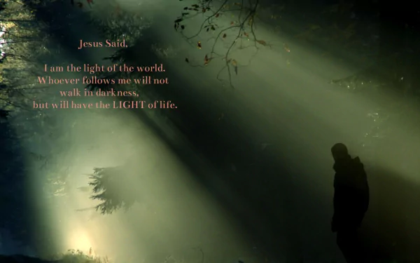 HD PC desktop wallpaper featuring a silhouette of Jesus illuminated by sunbeams, accompanied by a Christian quote about light and life, highlighting religious themes.