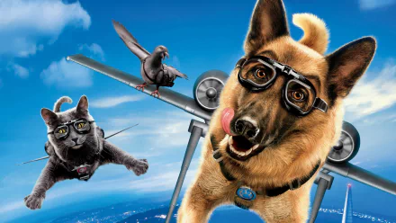 HD PC desktop wallpaper from the movie Cats & Dogs: The Revenge Of Kitty Galore featuring a dog with goggles, a cat in mid-air, and an airplane in the background.