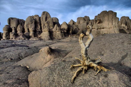  Tassili n'Ajjer - Algeria