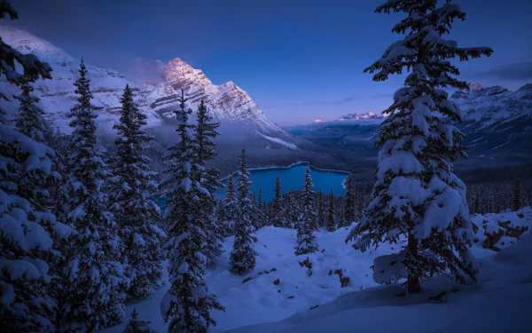 An HD desktop wallpaper featuring a snowy landscape at Banff National Park, showcasing a serene lake, pine trees, and majestic mountains in winter.