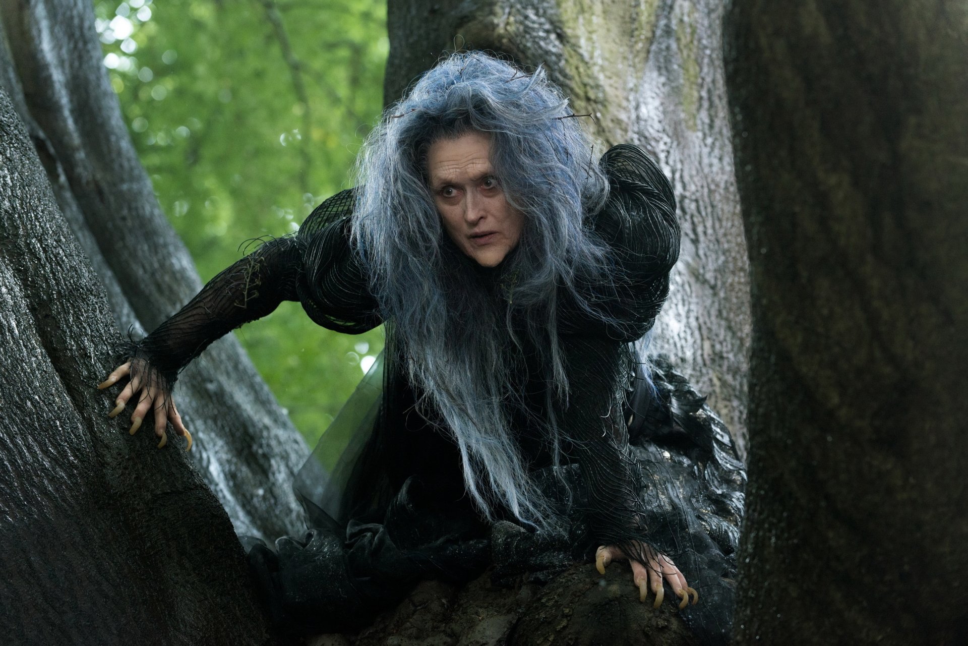 Download Meryl Streep Witch Movie Into The Woods (2014) HD Wallpaper