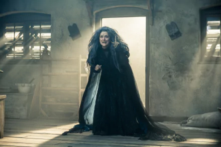  Into The Woods (2014), the witch