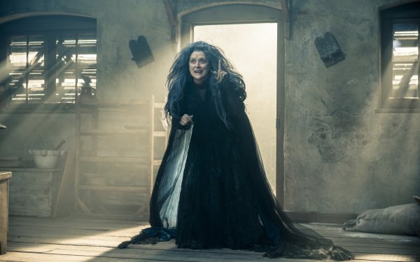 Movie Into The Woods (2014) Witch Meryl Streep HD Wallpaper | Background Image