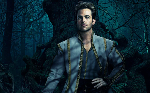 movie Into The Woods (2014) HD Desktop Wallpaper | Background Image