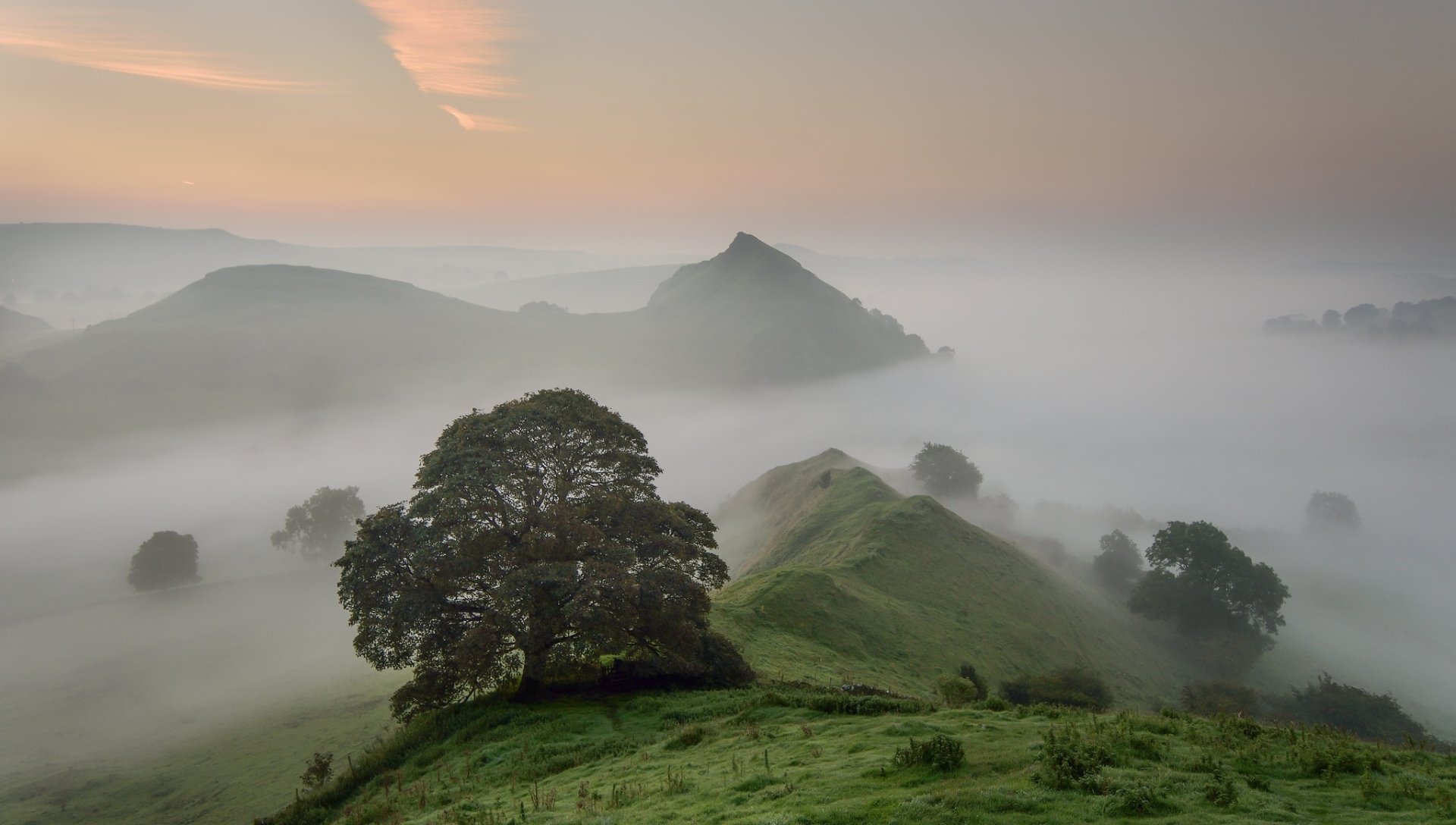 Misty Mountain Serenity: HD Nature Wallpaper with Trees and Fog