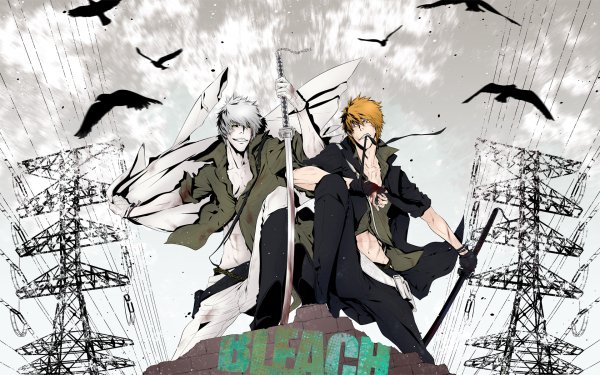 Anime Bleach Ichigo Kurosaki Hollow Ichigo HD Wallpaper | Background Image