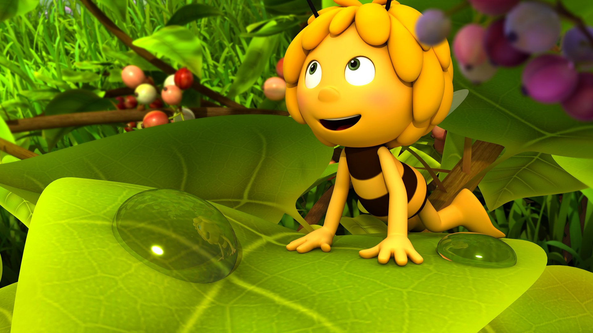 Maya the Bee Movie HD Wallpaper