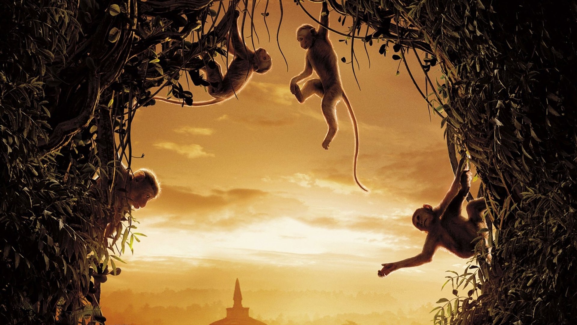 Download Monkey Movie Monkey Kingdom HD Wallpaper