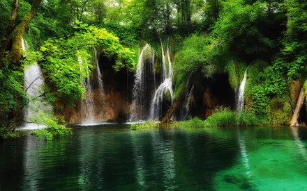 forest green plitvice lake national park nature waterfall HD Desktop Wallpaper | Background Image