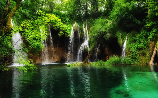 Lush green forest and cascading waterfalls at Plitvice Lake National Park, captured in an HD desktop wallpaper showcasing vibrant natural beauty.