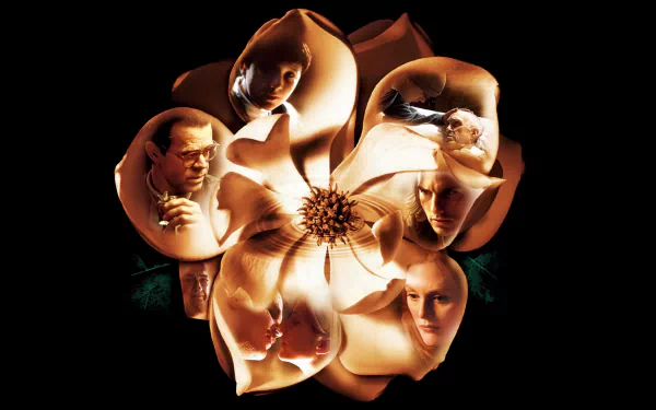 movie magnolia HD Desktop Wallpaper | Background Image