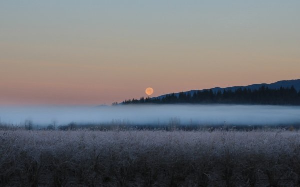 Earth Fog Nature Moon Field HD Wallpaper | Background Image