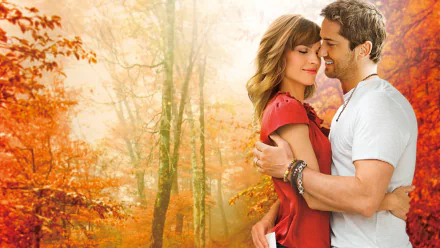 Gerard Butler Hilary Swank movie P.S. I Love You HD Desktop Wallpaper | Background Image