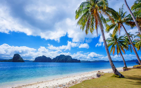 A tropical beach with white sand, tall palm trees, and blue ocean under a sky filled with clouds, captured in stunning 4K Ultra HD for a PC desktop wallpaper.